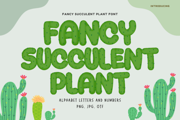 Fancy Succulent Plant